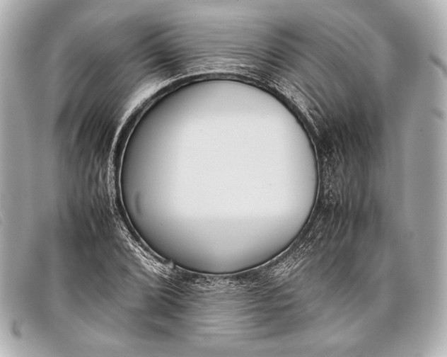 X0000098101072200804181418