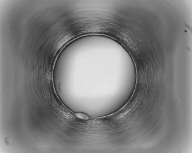 X0000098101073200804181418