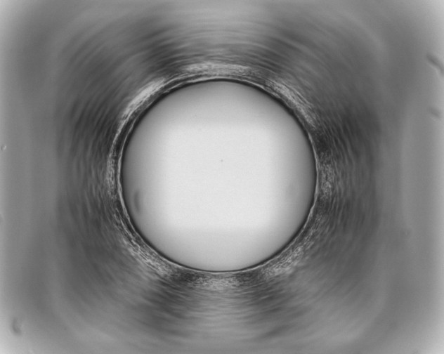 X0000098101074200804181418