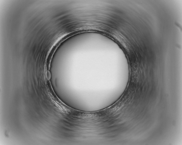 X0000098101076200804181418