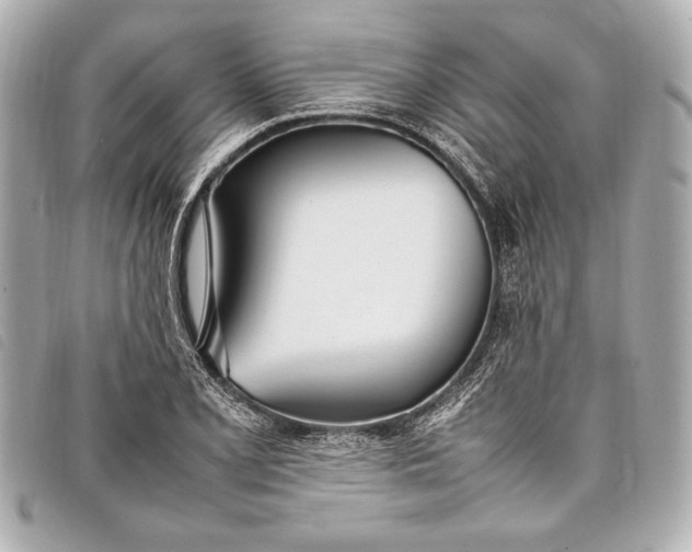 X0000098101077200804181418