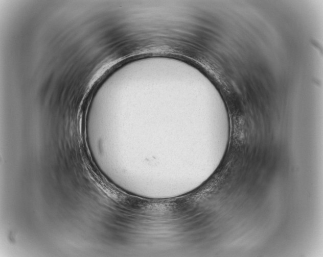 X0000098101078200804181418