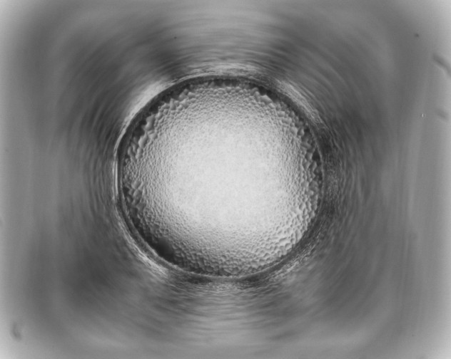 X0000098101079200804181418