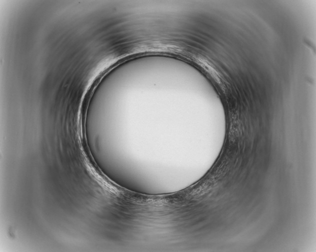 X0000098101080200804181418