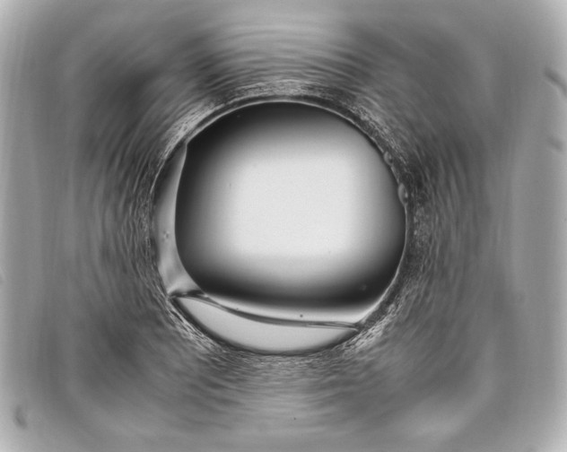 X0000098101081200804181418