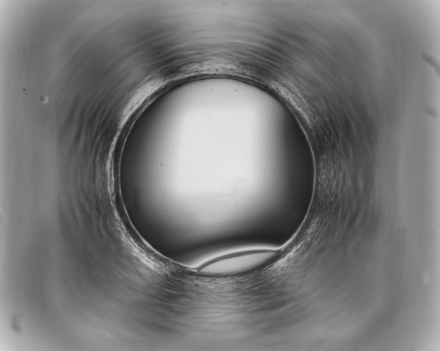 X0000098101082200804181418