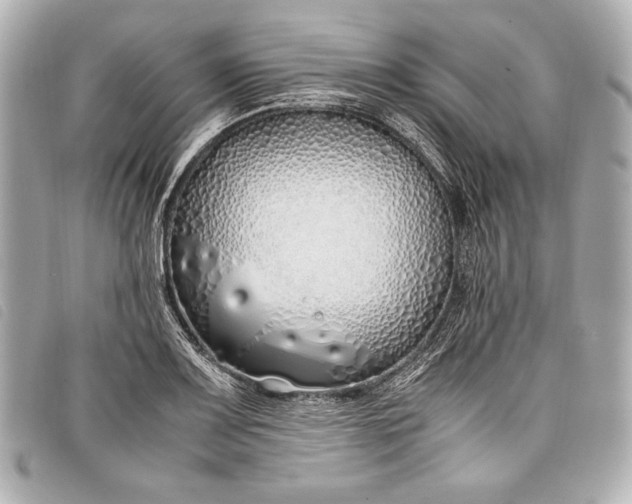 X0000098101083200804181418