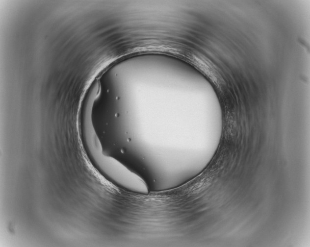 X0000098101084200804181418