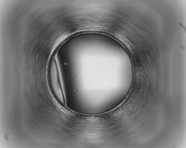 X0000098101085200804181418