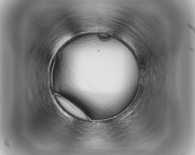 X0000098101087200804181418