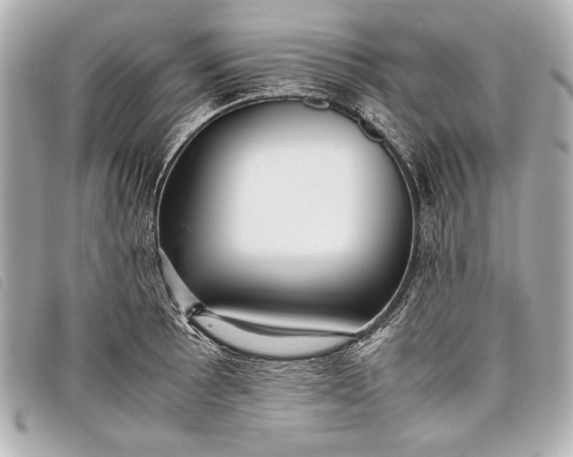 X0000098101089200804181418