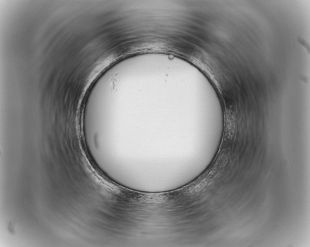 X0000098101090200804181418