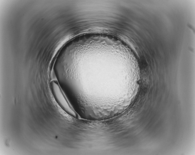 X0000098101091200804181418