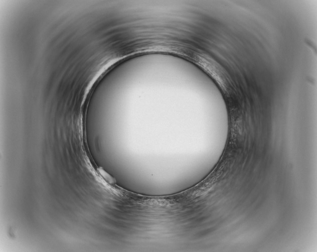 X0000098101092200804181418