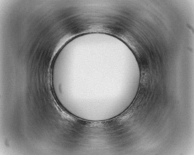X0000098101094200804181418