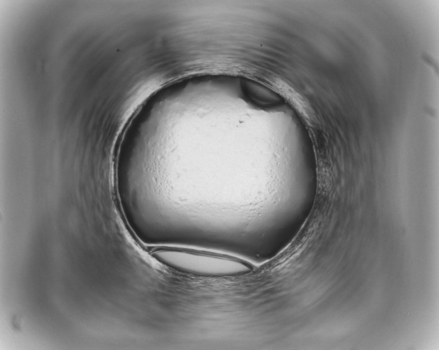 X0000098101095200804181418