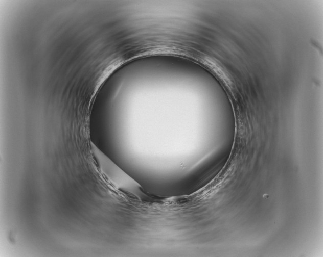 X0000098101097200804181418