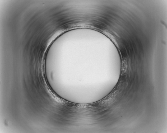 X0000098101098200804181418