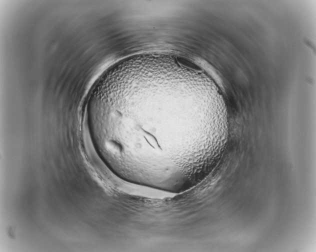 X0000098101099200804181418