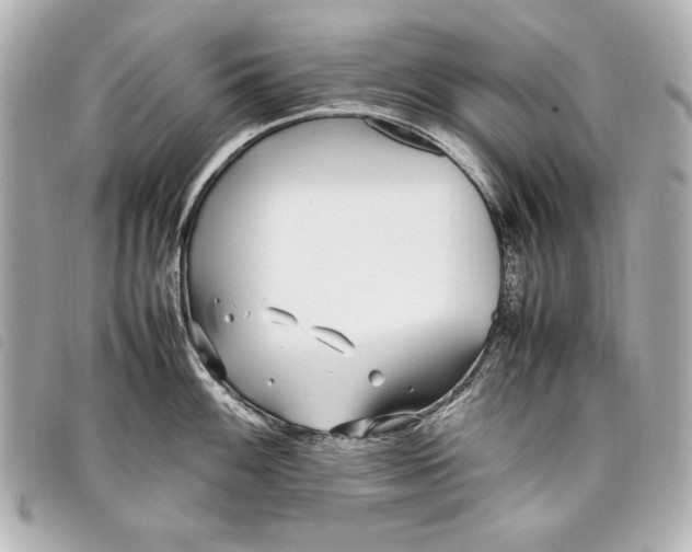 X0000098101100200804181418
