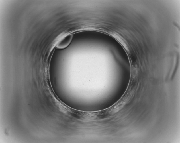 X0000098101101200804181418
