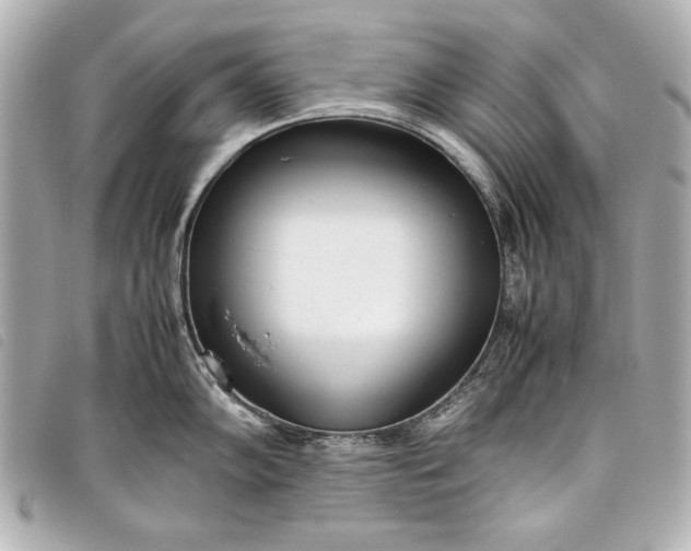 X0000098101102200804181418