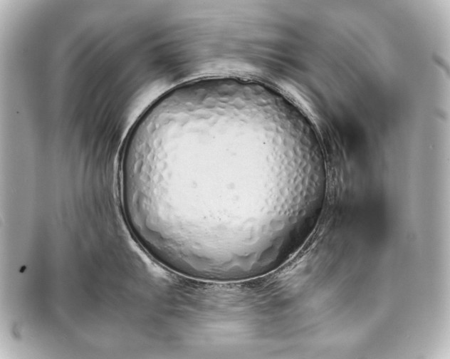 X0000098101103200804181418