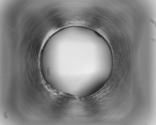 X0000098101104200804181418