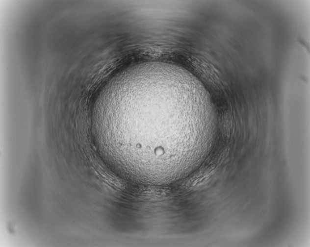 X0000098101105200804181417