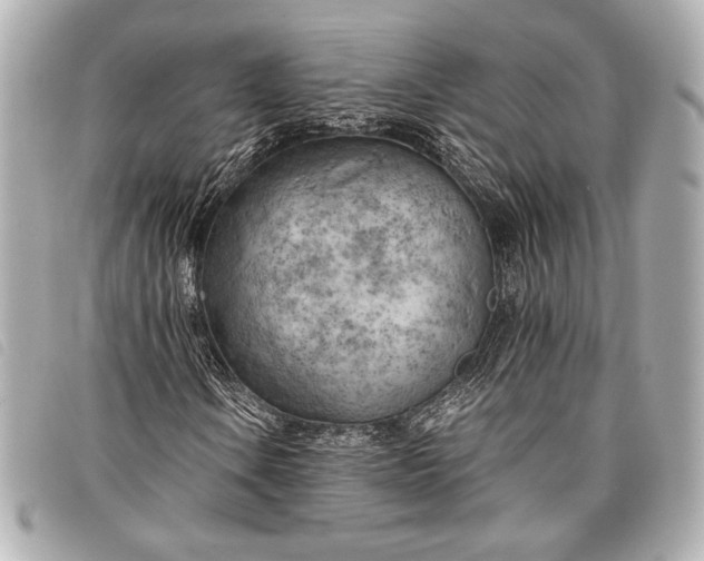 X0000098101106200804181417