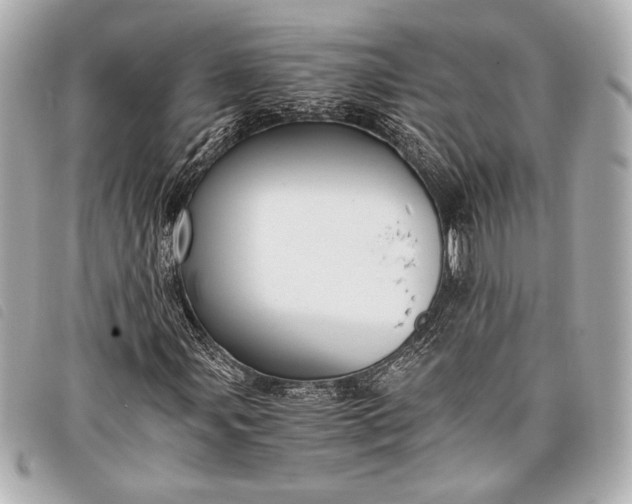 X0000098101107200804181417