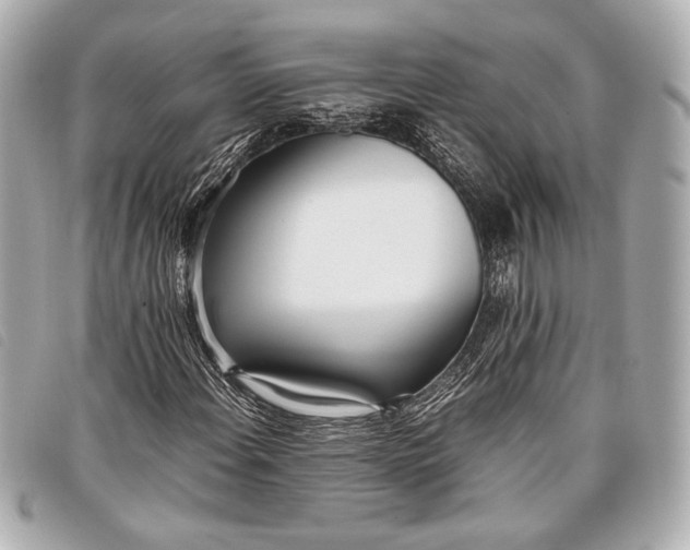 X0000098101108200804181417