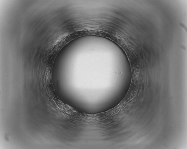 X0000098101110200804181417