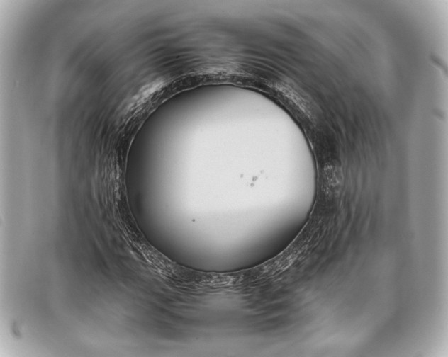 X0000098101111200804181417