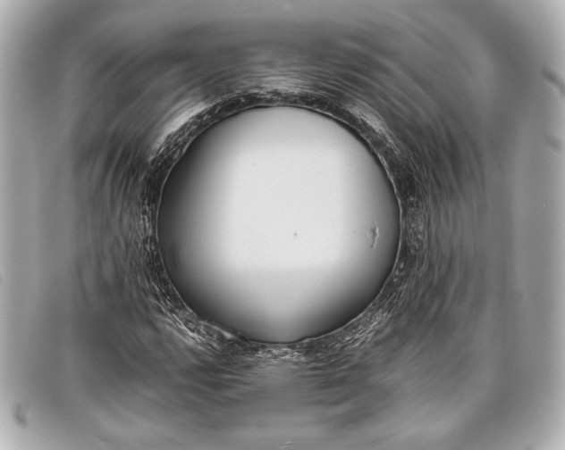 X0000098101112200804181417
