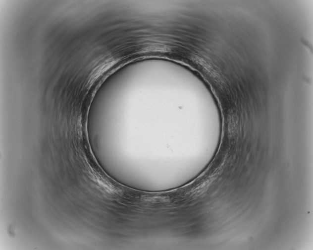 X0000098101113200804181417
