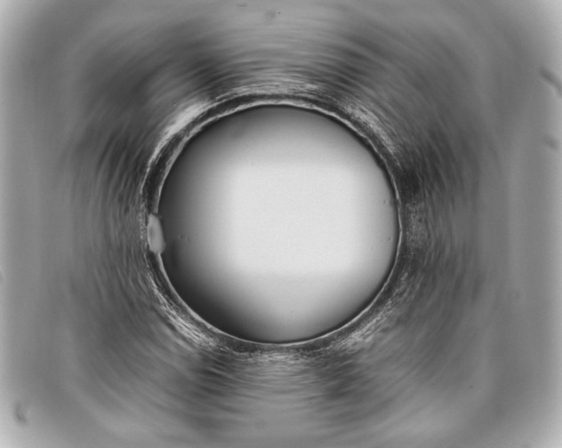 X0000098101114200804181417