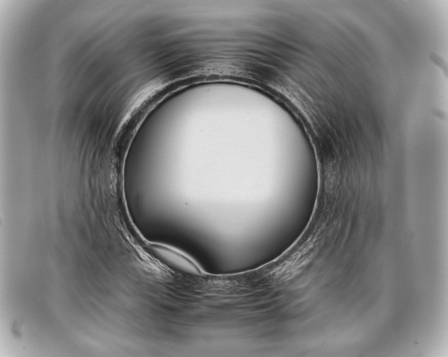 X0000098101115200804181417