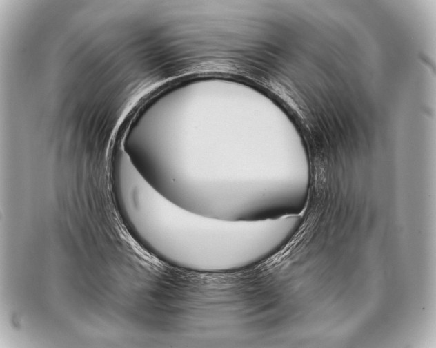 X0000098101116200804181417