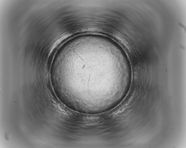 X0000098101117200804181417