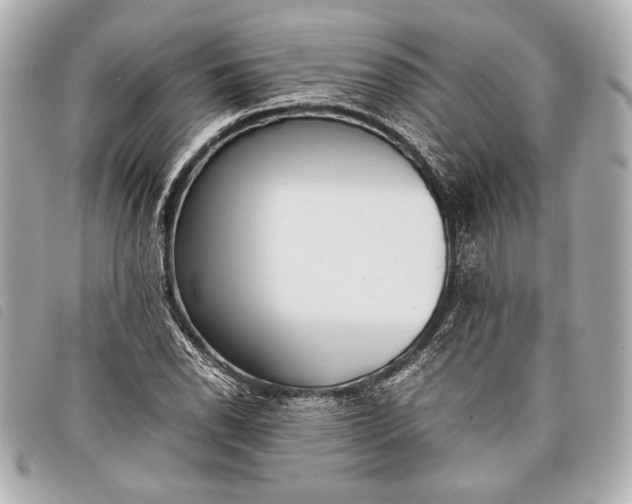 X0000098101118200804181417