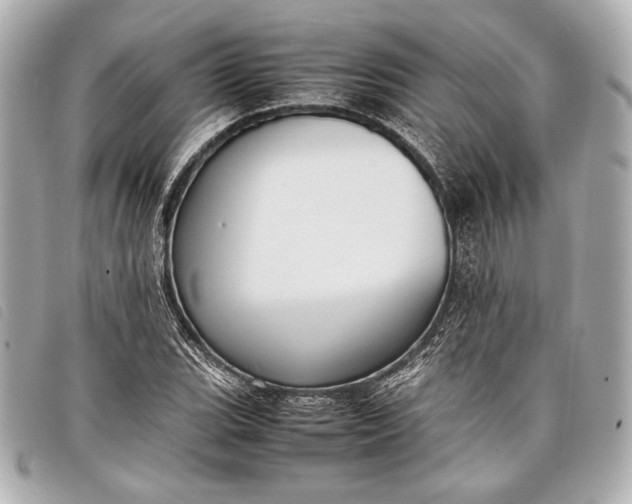 X0000098101119200804181417