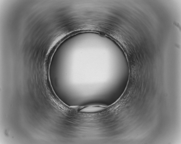 X0000098101120200804181417