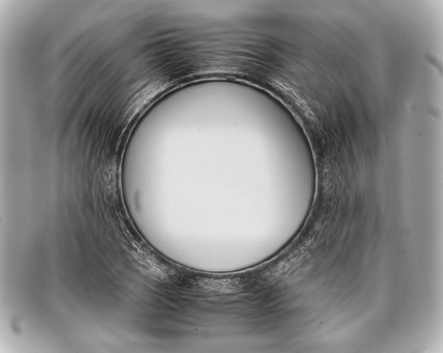 X0000098101121200804181417