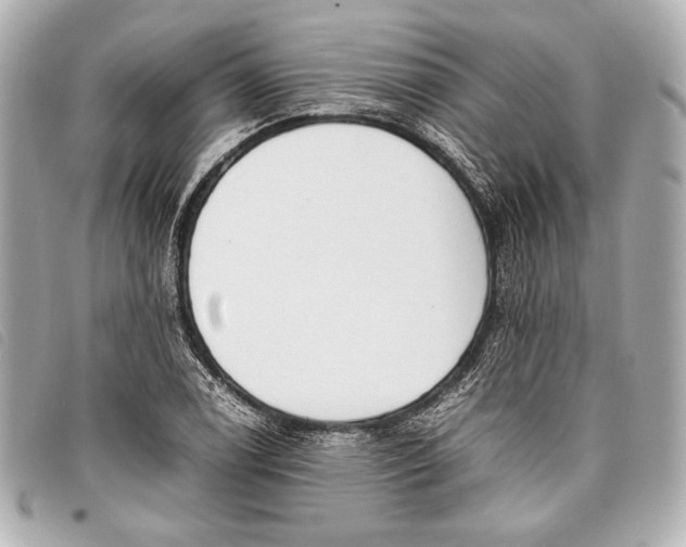 X0000098101122200804181417