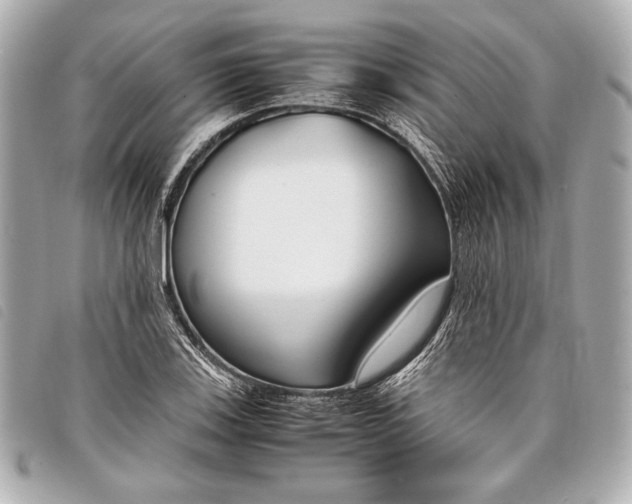 X0000098101123200804181417