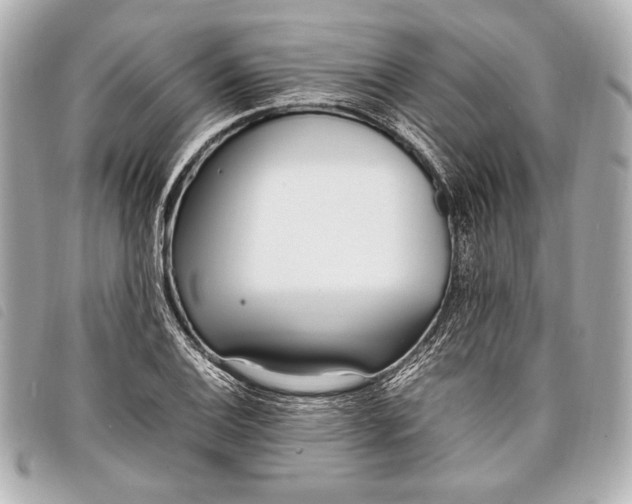 X0000098101124200804181417