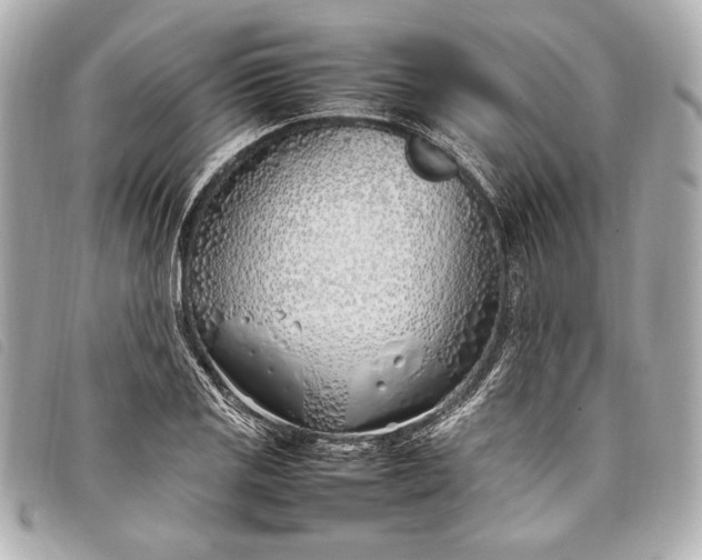 X0000098101125200804181417