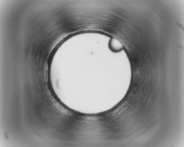 X0000098101126200804181417