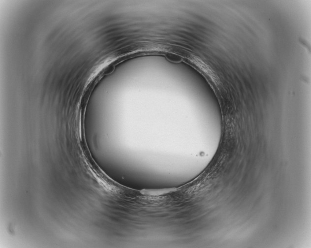 X0000098101127200804181417